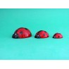 Coccinella in Alabastro